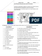 Activity 1 - Plants Physical Characteristics