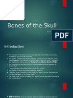 Bones of The Skull For MLT 1st Semester Spring 2024