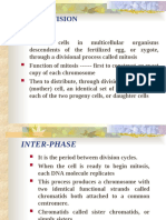 Cell Division
