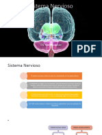 Sistema Nervioso 1