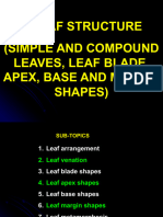 7-Leaf, Simple and Compound Leaves, Leaf Blade, Tip, Base and Edge Shapes