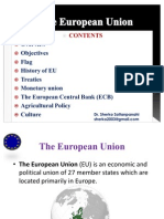 The European Union (EU)