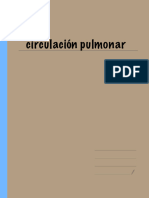 Circulación Pulmonar 2