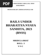 Bails Under Bharatiya Nyaya Sanhita 2023 BNSS