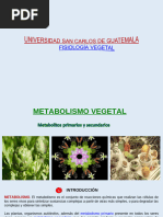 Clase 15 Fisiologia Vegetal