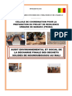 Audit Envir Noumougou