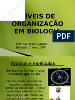 Atual Nveisdeorganizao-1