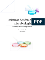 Prácticas Técnicas