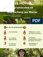 Exposé Sur Les Secteurs Maraîchers Et Agrumicoles