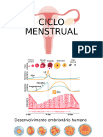 Ciclo Menstrual e Embriologia