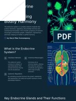 The Endocrine System Orchestrating Bodily Harmony