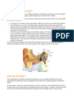 How Hearing Works