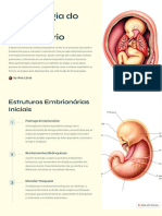 Embriologia Do Sistema Respiratorio