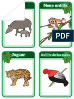 Sa CN 1706543625 Tarjetas Educativas Los Animales de La Selva Peru Ver 1