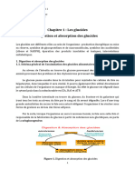 Metabolisme Des Glucides