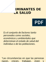 Determinantes de La Salud Aps