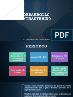 Desarrollo Intrauterino 2024-Ii