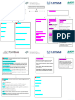 Mapa Conceptual