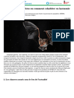 Chauves Souris Et Virus Ou Comment Cohabiter en Harmonie Encyclopedie Environnement