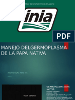 Manejo Del Germoplasma de La Papa Nativa