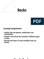 Earth Science Rocks and Rock Cycle