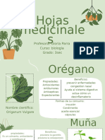 Presentación Plantas de Interior Orgánico Verde - 20240821 - 002530 - 0000