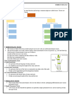 Class Ix Biology Tissues Notes Part I