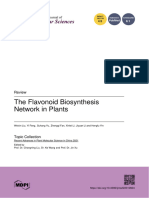 The Flavonoid Biosynthesis Network in Plants