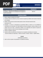 TRANS S4 Actividad