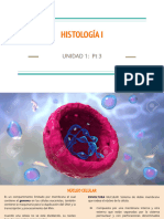 HISTOLOGÍA I UNIDAD Pt3