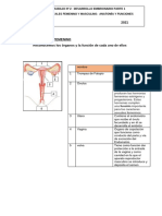 Ficha Trabajo #2