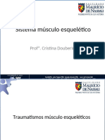 Aula 3 - Sistema Musculoesquelético