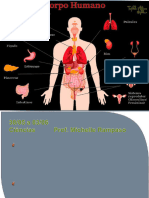 O Corpo Humano