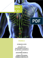 El Sistema Linftico