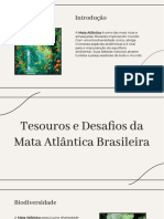 Slidesgo Tesouros e Desafios Da Mata Atlantica Brasileira 20240625150828zkmd