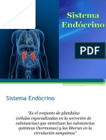 Sistema Endocrino