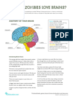 Parts of The Brain