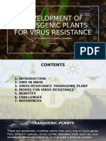 Transgenic Plants