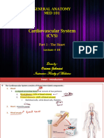 Lecture #10 - Cardiovascular System - Part 1 - The Heart