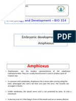 LEC.4.Embryonic Development of Amphioxus