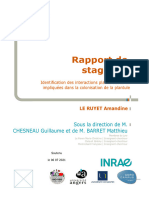 Rapport de Stage M1