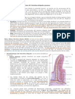 Clase 48 Intestino Delgado y Grueso.