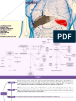 MARC Semana 10 Mapa Conceitual - Hepatoesplenomegalia