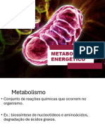 Metabolismos Energetico - Alunos