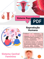 Sistema Reprodutor Feminino e Masculino