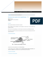 Structure Du Muscle Strie Squelettique - Ts Sunudaara