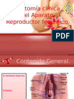 Anatomía Clínica Del Aparato Reproductor Femenino