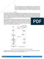 Seminario 2B. Vía de Pentosa Fosfato