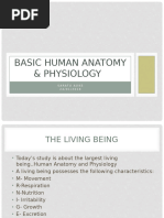 Basic Human Anatomy & Physiology