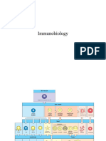 Summary Immunobiology